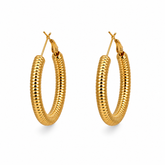 Cerchi shell