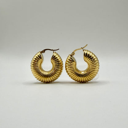 Cerchi shell jumbo