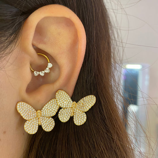 Big butterflies